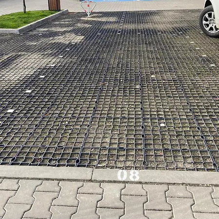 Blue Dream W Poblizu Manufaktury * Łódź